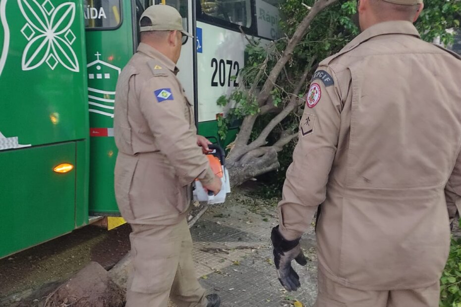 Onibus Bomb - O Esportivo