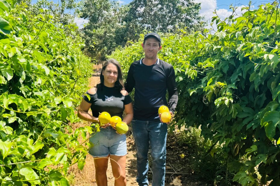 FEIRA DE AGRONEGÓCIO - Seaf vai destacar potencial do maracujazeiro durante a GreenFarm Show 2025 - O Esportivo Maracuja - O Esportivo