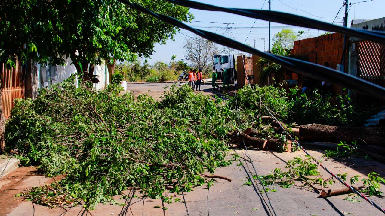 Temporal - O Esportivo