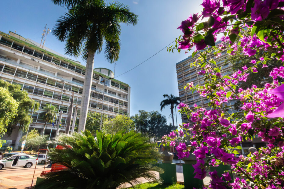 Dinheiro na conta - O Esportivo