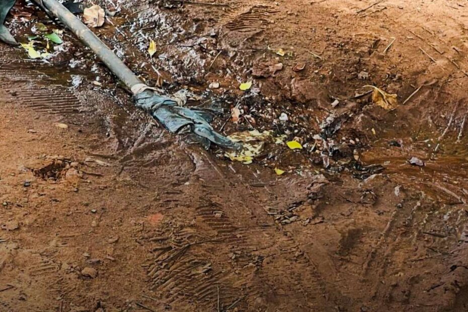 Trabalho Amplo - O Esportivo