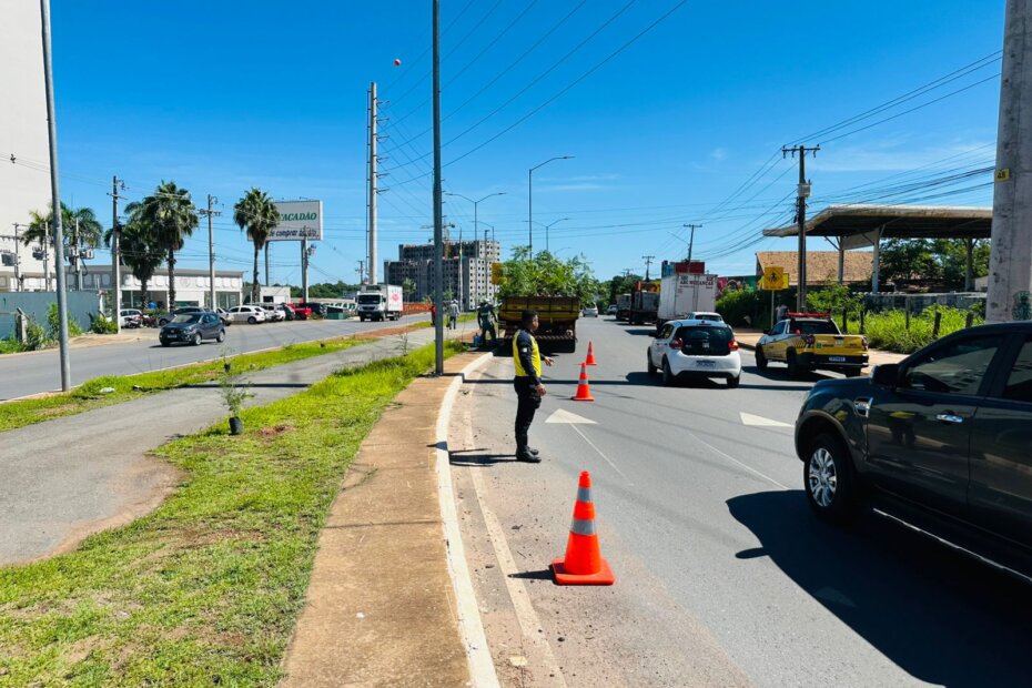 Arborizacao - O Esportivo