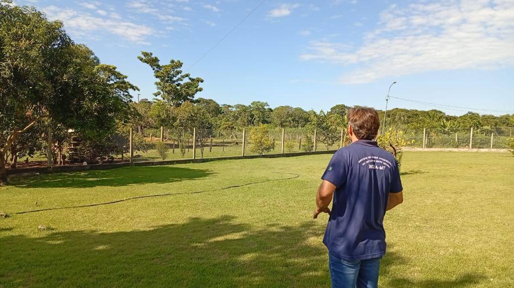 Gripe Aviaria - O Esportivo